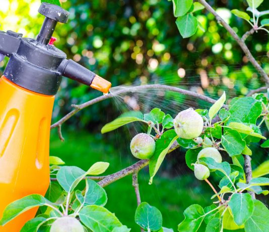 Правила некорневых подкормок