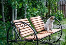 Особенности выбора кресла-качалки