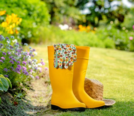 Садовые курьёзы, или Вся правда о голубых розах и махровых лилиях