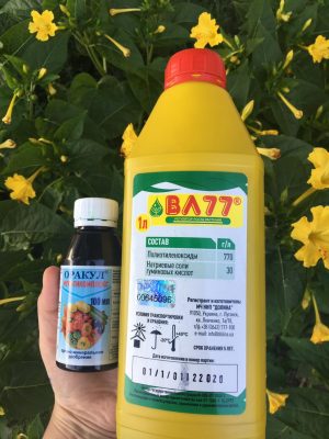 Многофункциональный препарат, антистрессант «ВЛ 77» и микроудобрение для декоративных цветов «Оракул мультикомплекс»