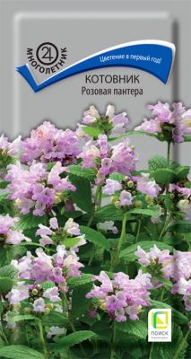 Котовник «Розовая пантера»