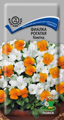 Фиалка рогатая «Кокетка»