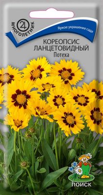 Кореопсис «Потеха»