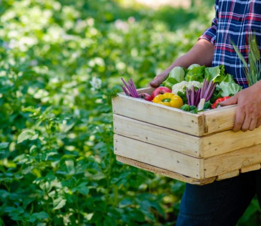 Лунный календарь садовода и огородника на август 2021 - Календари Лунный календарь садовода и огородника на август 2021
