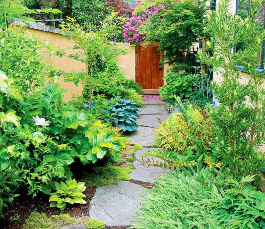 Как обустроить дизайн узкого бокового двора?