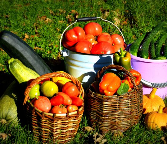 Завершаем дачный сезон правильно