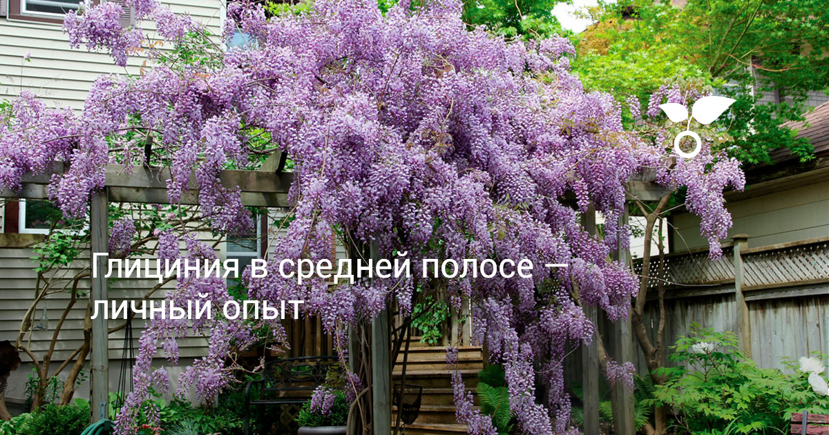 www.botanichka.ru