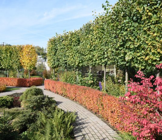 Яркие краски осени