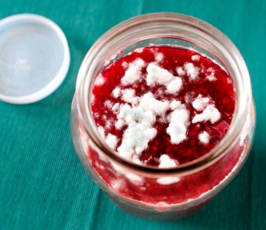 Плесень на варенье — вредно и даже опасно! - Варенья и джемы Плесень на варенье — вредно и даже опасно!