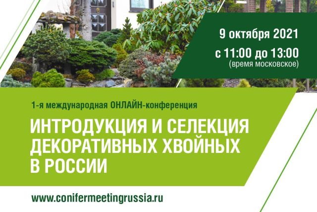 Онлайн-конференции о декоративных хвойных в России