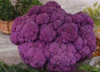 Капуста — вкусно и полезно!