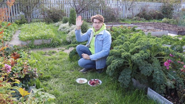 Как правильно выкапывать и хранить гладиолусы?