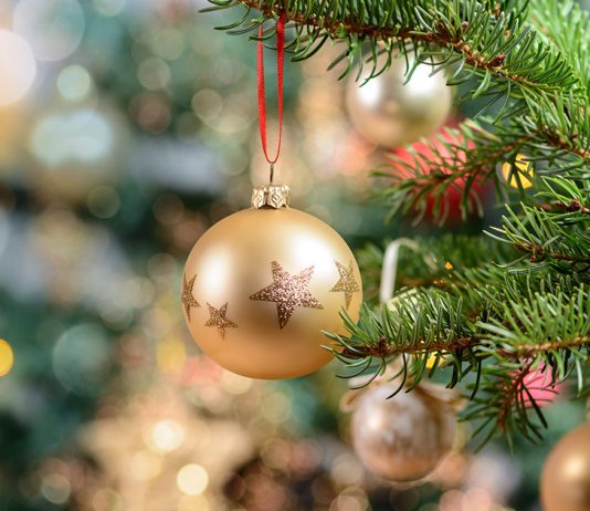 Как ухаживать за новогодней елью дома