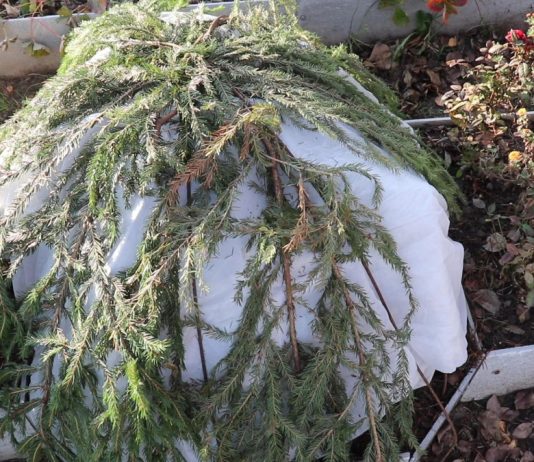 Как подготовить постоянное укрытие на зиму?