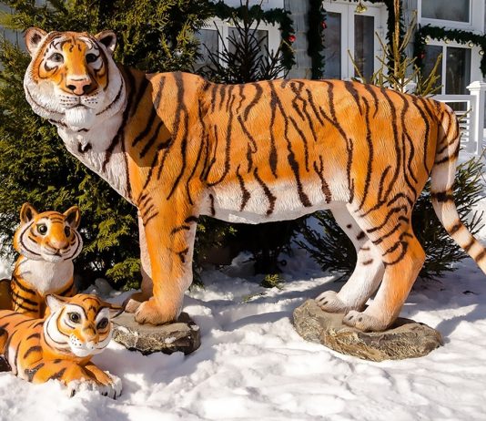 Символ 2022 года - Интернет-магазин «ХитСад» Символ 2022 года