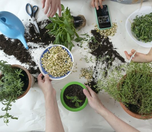 Лунный календарь садовода и огородника на январь 2022 - Календари Лунный календарь садовода и огородника на январь 2022