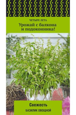 Базилик «Свежесть» Базилик «Свежесть»