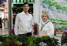 Праздничное настроение