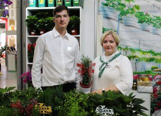 Праздничное настроение