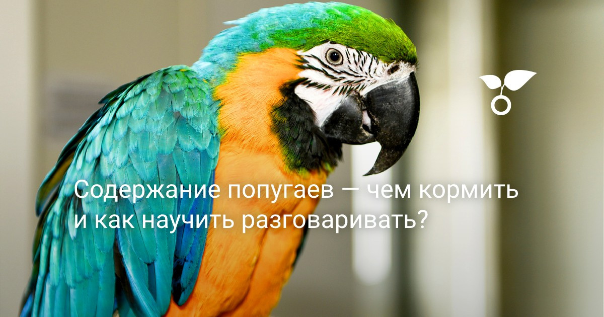 Смотреть порно онлайн жетілген қарсылық көрсетті