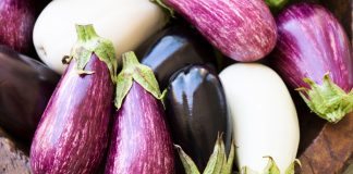 Баклажановая палитра — о вкусовых качествах баклажанов разных цветов