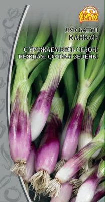 Лук-батун «Канкан» Лук-батун «Канкан»