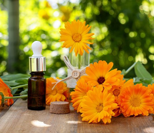 Садовые растения, которые заменят дорогую косметику по уходу за лицом