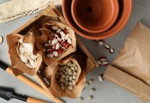Семенная лихорадка — ревизия и пополнение запасов, календарь посевов