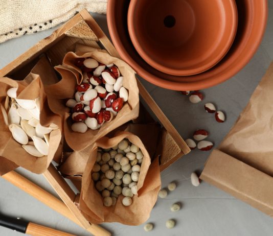 Семенная лихорадка — ревизия и пополнение запасов, календарь посевов