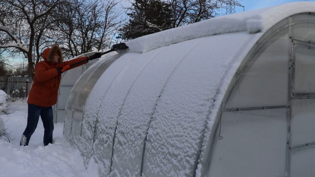 Снимаем снег с теплицы и накидываем его на грядки
