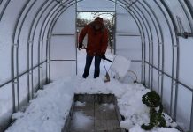 Зачем нужен снег на грядках в теплице?