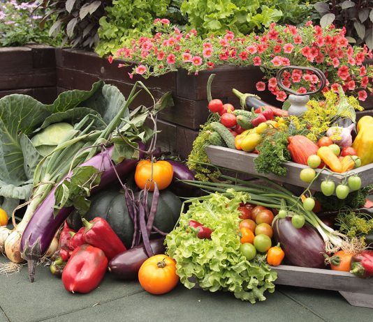 Стильные грядки - Ягодник Стильные грядки