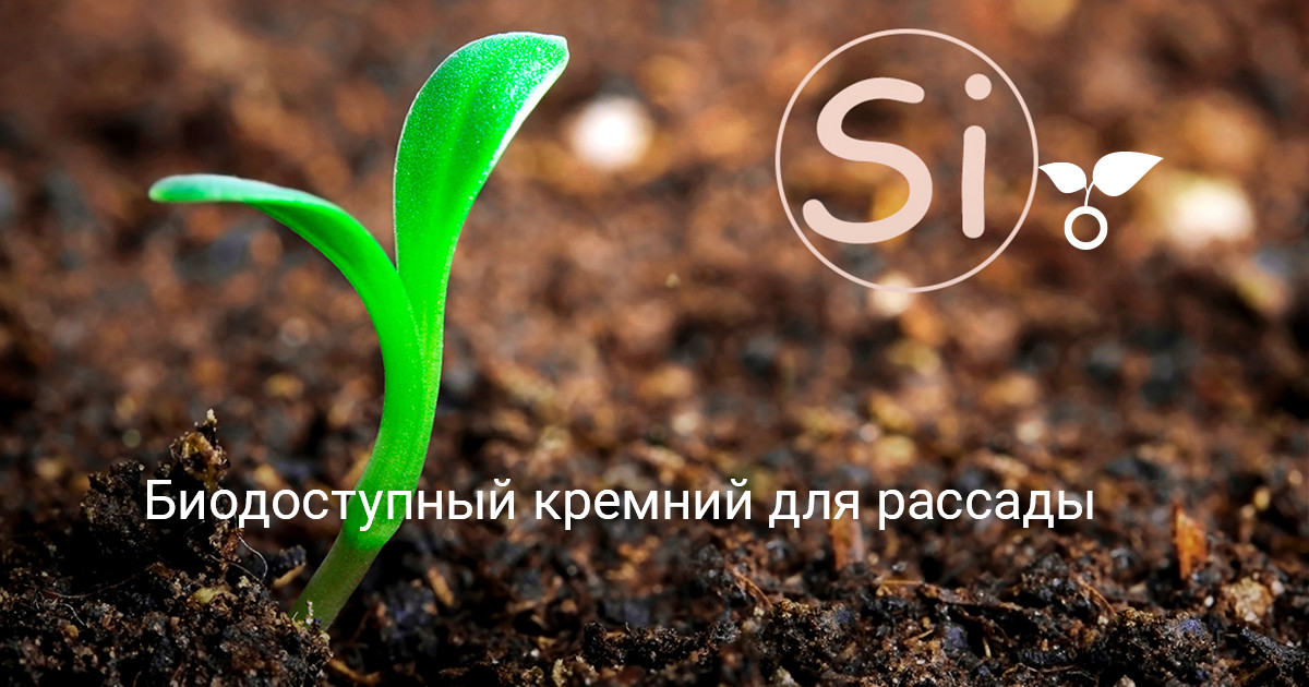 Биодоступный кремний для рассады — Ботаничка