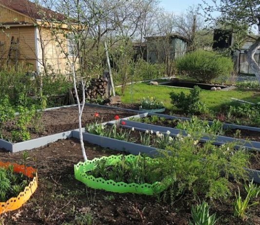 Готовим грядки осенью – организация огорода