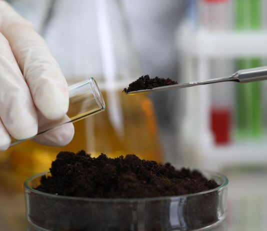 Грунты — из чего мы их делаем? - Цветник и ландшафт Грунты — из чего мы их делаем?