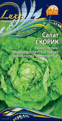 Салат «Скорик»
