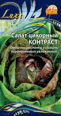 Салат цикорный «Контраст»