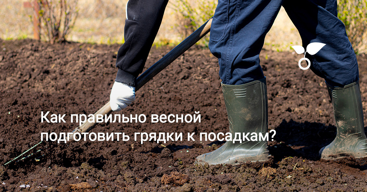 Как правильно весной подготовить грядки к посадкам? — Ботаничка