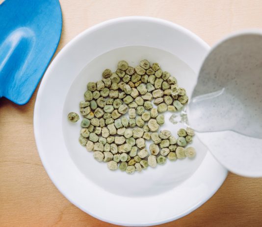 Тест на всхожесть семян в стакане с водой — работает или нет?