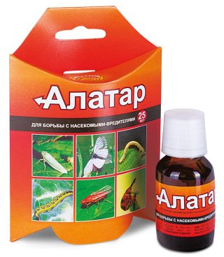 «Алатар» защитит от вредителей большинство садовых и огородных культур на Вашем участке