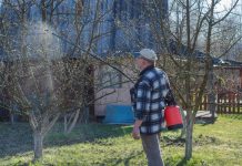 Ранневесенняя защита сада — средства и сроки проведения