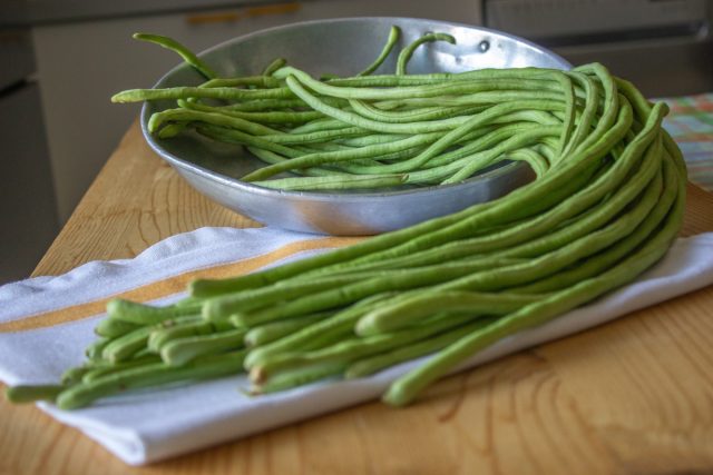 Вигна спаржевая, или овощная (Vigna unguiculata subsp. Sesquipedalis) Вигна спаржевая, или овощная (Vigna unguiculata subsp. Sesquipedalis)