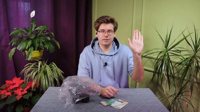 Выращиваем рассаду лука-порея по правилам