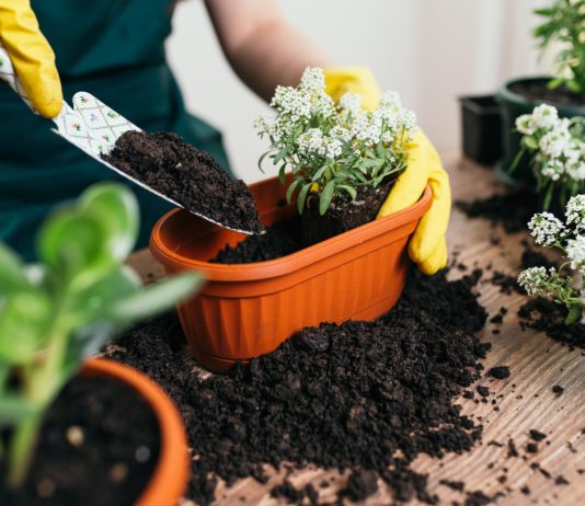 Грунт — как применять повторно и опасно ли это?