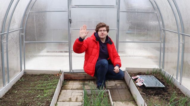 Посев свёклы на рассаду — в чем преимущества и как правильно посадить?