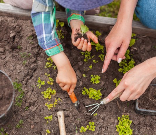 Чем заняться с детьми в саду? Интересные, развивающие и активные занятия - Цветник и ландшафт Чем заняться с детьми в саду? Интересные и простые занятия