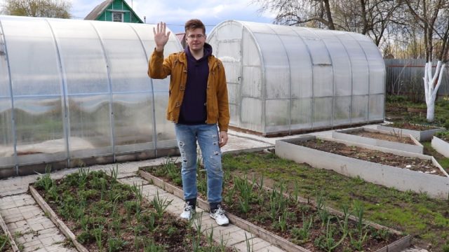 Уход за клубникой весной — как получить здоровые кусты летом?