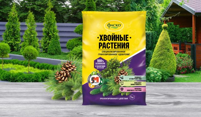 При подготовке почвы под посадку используют различные почвоулучшители и вносят удобрения универсальные или предназначенные для определённой группы видов, например, ФАСКО 5М-гранула для хвойных растений