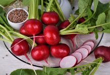 Как продлить витаминное лето? Сеем редьку и редис