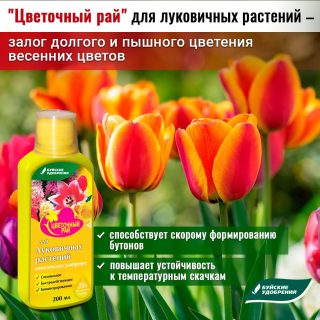 Удобрение «Цветочный рай» для луковичных